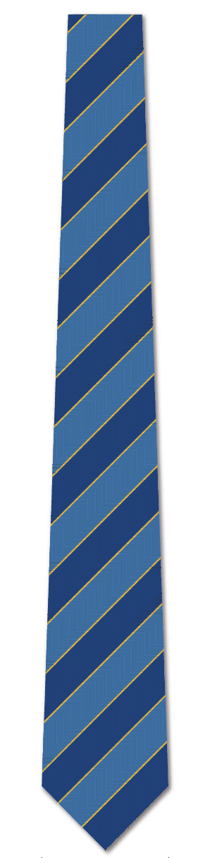 School Tie